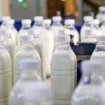 В Ростовской области выявили сеть фантомных предприятий по производству молочной продукции
